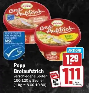 Hit Popp Brotaufstrich Angebot