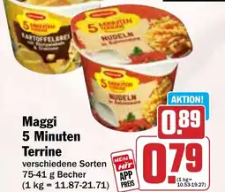 Hit Maggi 5 Minuten Terrine Angebot