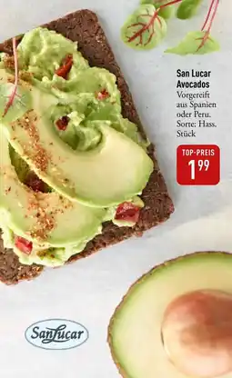 Galeria Markthalle San Lucar Avocados Angebot