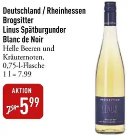 Galeria Markthalle Deutschland/Rheinhessen Brogsitter Linus Spätburgunder Blanc de Noir Angebot