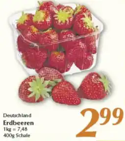 inkoop Deutschland Erdbeeren Angebot