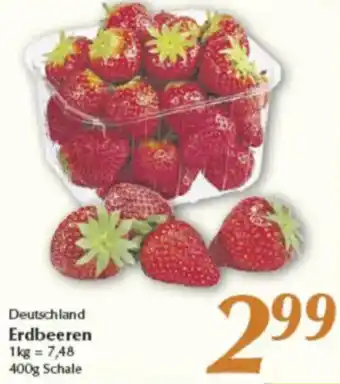inkoop Deutschland Erdbeeren Angebot