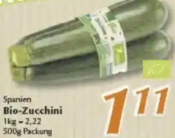 inkoop Spanien Bio-Zucchini Angebot