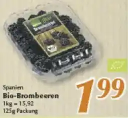 inkoop Spanien Bio-Brombeeren Angebot