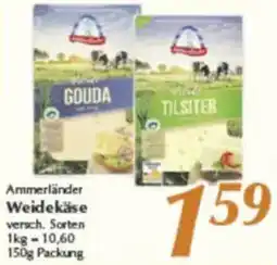 inkoop Ammerländer Weidekäse Angebot