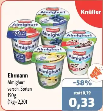 Aktiv Irma Ehrmann Almighurt Angebot