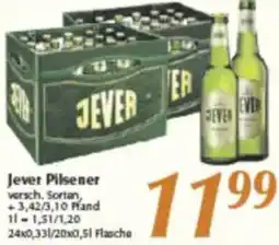 inkoop Jever Pilsener Angebot