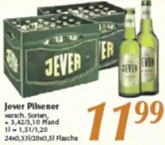 inkoop Jever Pilsener Angebot