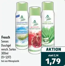 Aktiv Irma Frosch Senses Duschgel Angebot