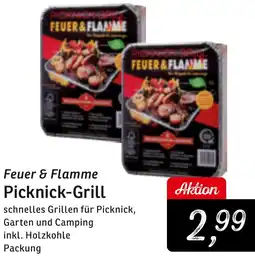 KONSUM Feuer & Flamme Picknick-Grill Angebot