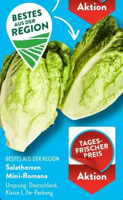 Aldi Süd Salatherzen Mini-Romana Angebot