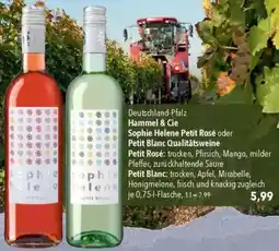 CITTI Markt Hammel & Cie Sophie Helene Petit Rosé oder Petit Blanc Qualitätsweine Angebot