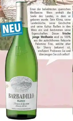 CITTI Markt Bodegas Barbadillo Blanco de Albariza Cadiz IGP Angebot