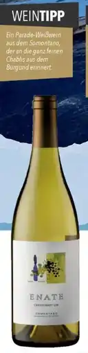 CITTI Markt Viñedos y Crianzas del Alto Aragón Enate Chardonnay Angebot
