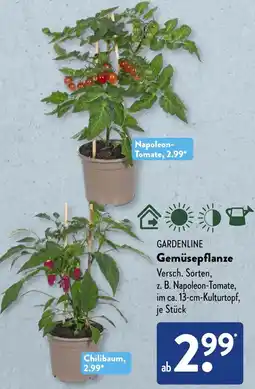 Aldi Süd GARDENLINE Gemüsepflanze Angebot