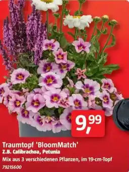 Bauhaus Traumtopf 'BloomMatch' Z.B. Calibrachoa, Petunia Angebot