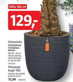 Bauhaus Pflanztopf Kugel Rib Angebot