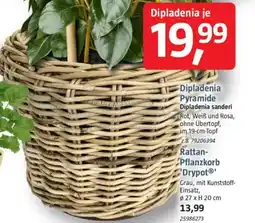 Bauhaus Rattan- Pflanzkorb Drypot Angebot