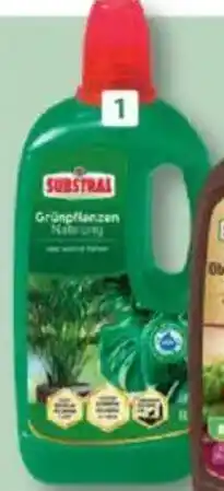Bauhaus Substral Grünpflanzennahrung Angebot