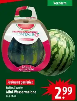 Famila Nord Ost Italien/Spanien Mini-Wassermelone Angebot