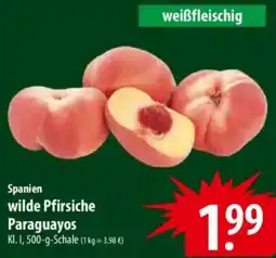 Famila Nord Ost Spanien wilde Pfirsiche Paraguayos Angebot
