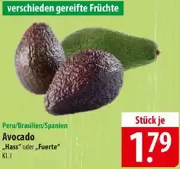Famila Nord Ost Peru/Brasilien/Spanien Avocado Angebot