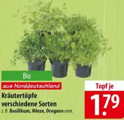 Famila Nord Ost Kräutertöpfe Angebot