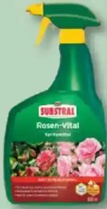 Bauhaus Substral Rosendünger 'Rosen-Vital' Angebot