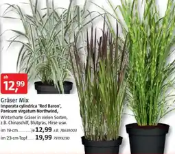 Bauhaus Gräser Mix Angebot
