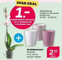 NETTO Orchideenvase Angebot