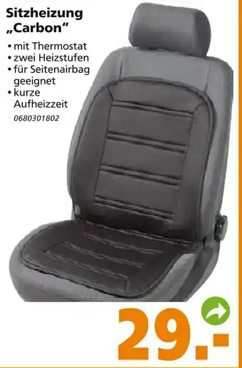 Globus Baumarkt Sitzheizung Carbon Angebot