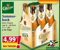 Norma Sommerbock Angebot