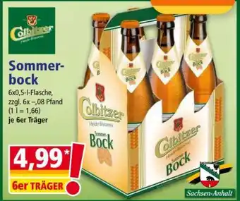 Norma Sommerbock Angebot