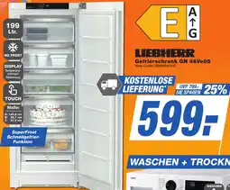 K+B Expert LIEBHERR Gefrierschrank GN 46Ve05 Angebot