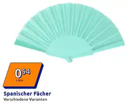Action Spanischer Fächer Angebot
