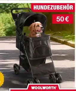Woolworth Woolworth hundezubehör Angebot