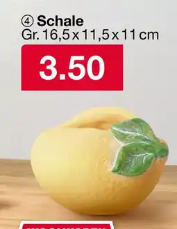 Woolworth Schale Angebot