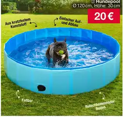 Woolworth Hundepool Angebot