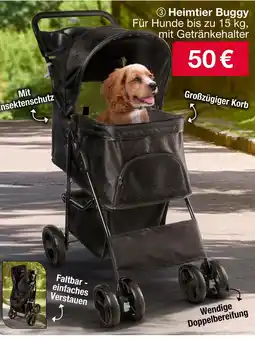 Woolworth Heimtier buggy Angebot