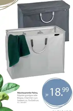 Zurbrüggen Wäschesammler palma Angebot
