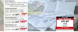 Matratzen Concord Serie labrador Angebot