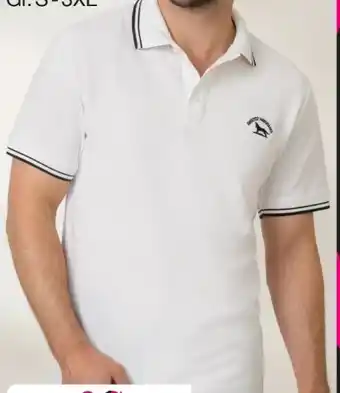 Woolworth Herren Poloshirt Angebot