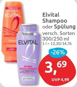 Budni Elvital Shampoo oder Spülung Angebot