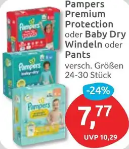 Budni Pampers Premium Protection oder Baby Dry Windeln oder Pants Angebot
