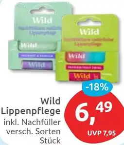 Budni Wild Lippenpflege Angebot