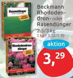 Budni Beckmann Rhododendron oder Rasendünger Angebot
