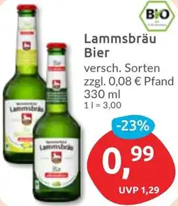 Budni Lammsbräu Bier Angebot