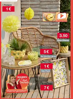 Woolworth Gartendeko Angebot