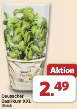 Famila Nord West Deutscher Basilikum XXL Angebot