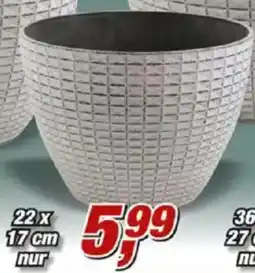 Posten Börse Pflanztopf ,,Nanda" Angebot